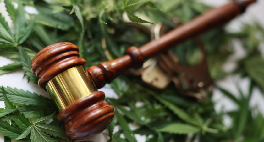 Hemp’s Hard Lesson: Innovation Without Regulation Leads to Instability